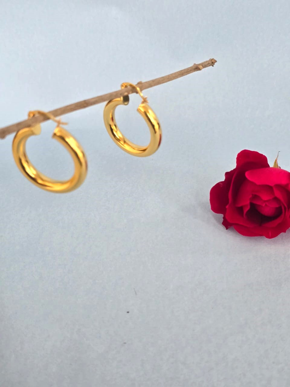 Classic Gold Finish Round Hoop Earrings